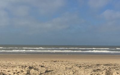 Een zonnige ochtend aan zee