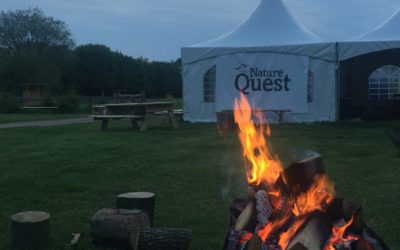 4-daagse Nature Quest