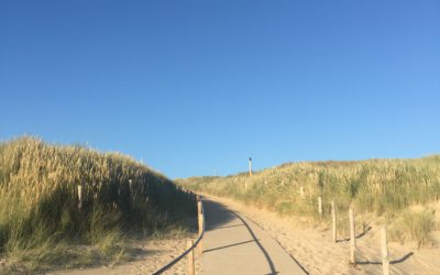 Kleine koerswijziging