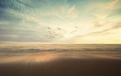 Ik heb jouw hulp nodig!